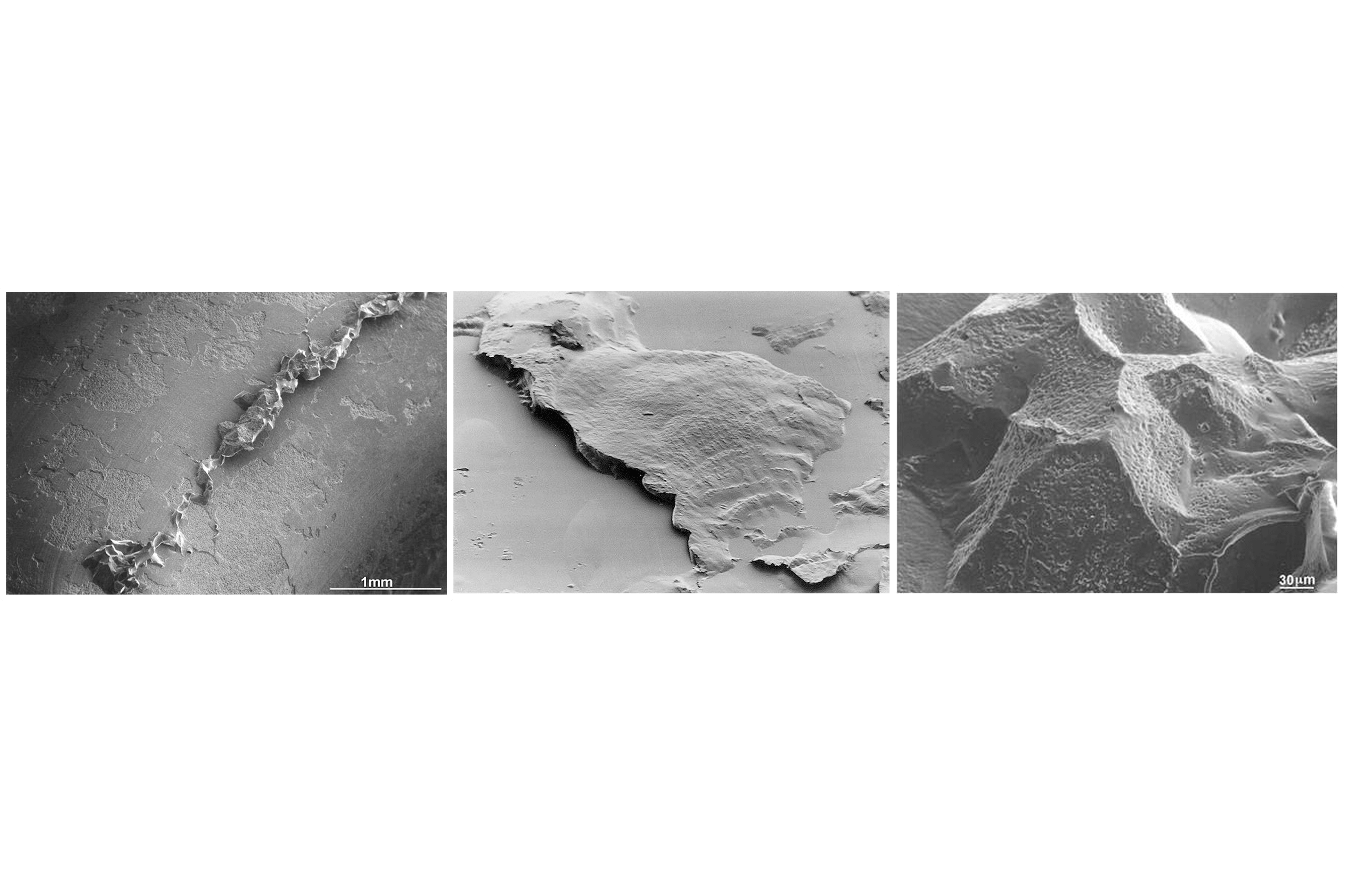 cover7-border-compressed